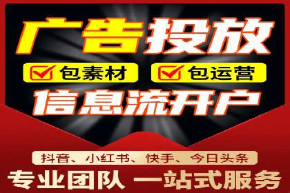 SEO与SEM融合策略：成功案例解析